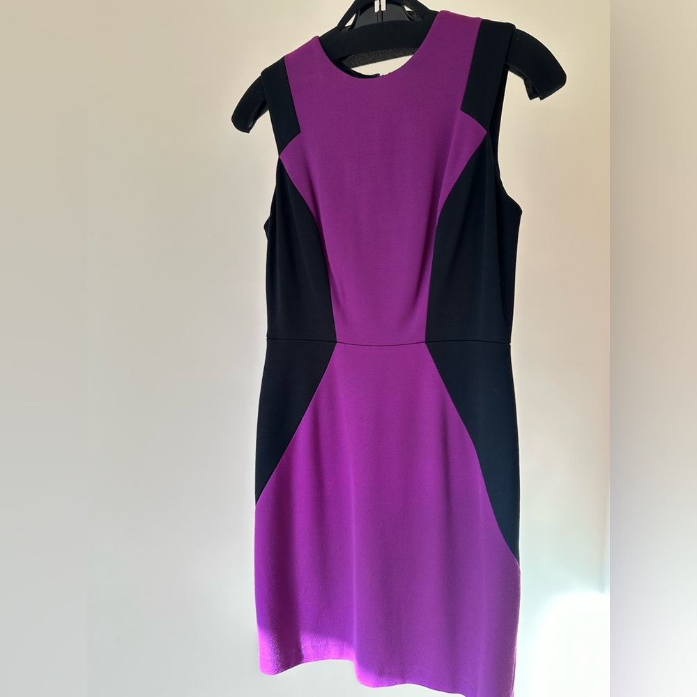 Cynthia Steffe Purple and Black One Shoulder Dress